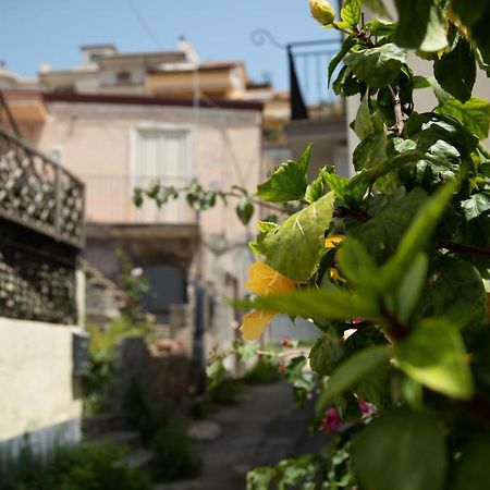 Nick & Santo'S Holiday Homes B&B Джардини Наксос Екстериор снимка